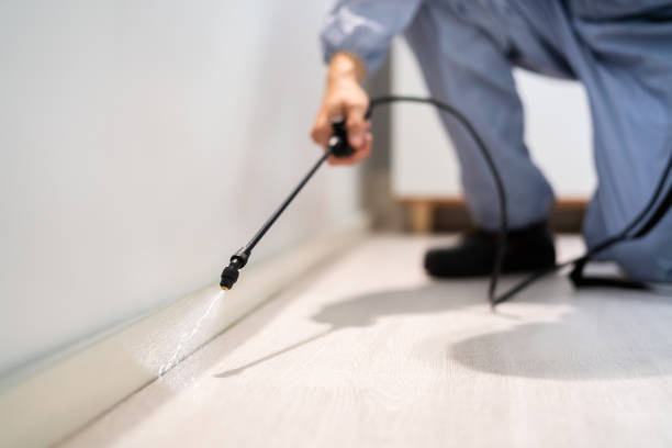 Licensed Cockroach Control service in Hanford, CA - Nex Pest Control