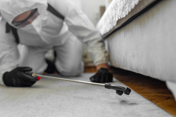 Professional Cockroach Control technician working in Hanford, CA
