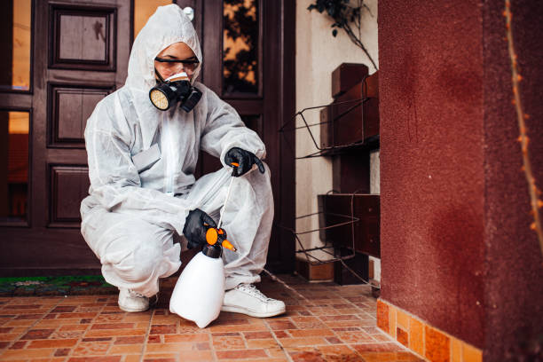 Reliable Cockroach Control contractor in Hanford, CA by Nex Pest Control